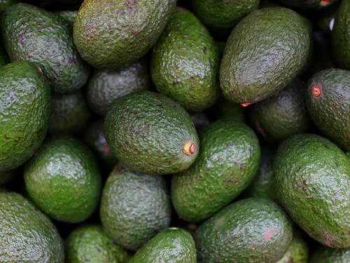 Avocado